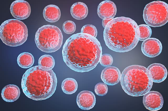 Illustration of concentrated growth factor cells