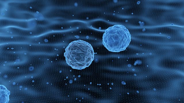 Illustration of exosome vesicles