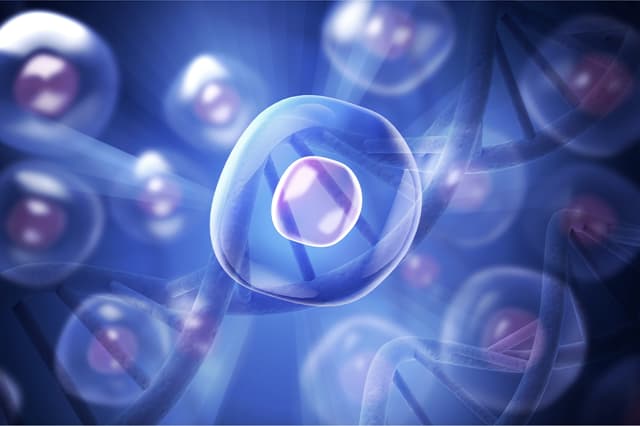 Illustration of a cell and DNA strand close-up